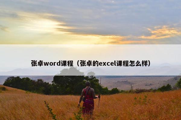 张卓word课程（张卓的excel课程怎么样）