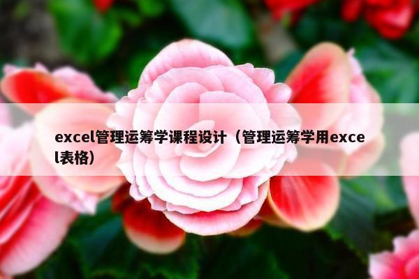excel管理运筹学课程设计（管理运筹学用excel表格）