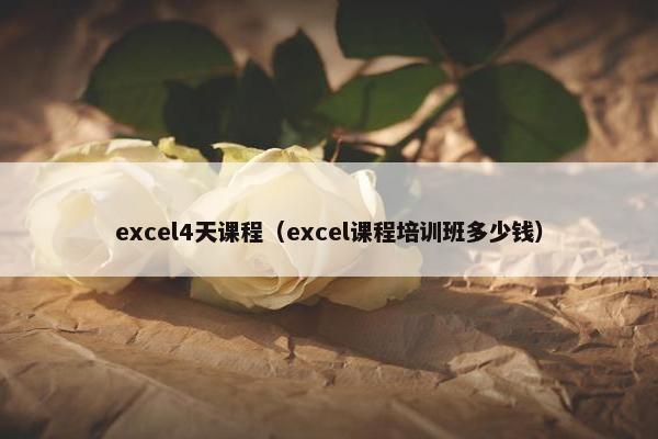 excel4天课程（excel课程培训班多少钱）