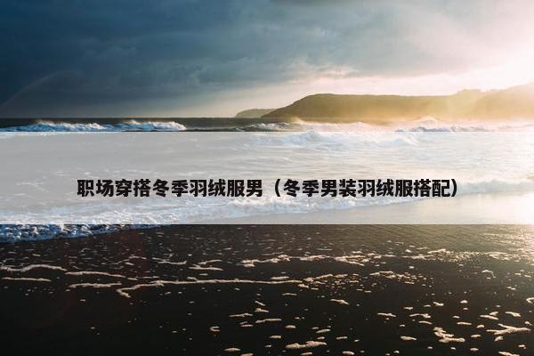 职场穿搭冬季羽绒服男（冬季男装羽绒服搭配）