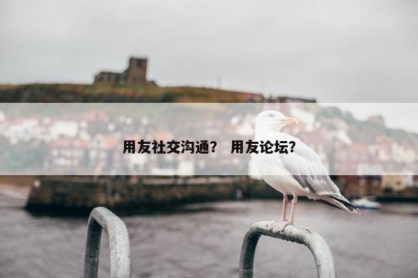 用友社交沟通？ 用友论坛？