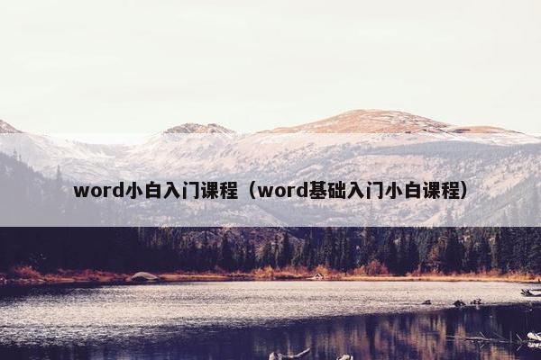 word小白入门课程（word基础入门小白课程）