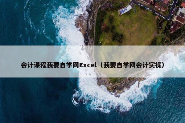会计课程我要自学网Excel（我要自学网会计实操）