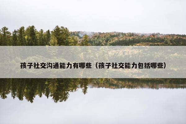 孩子社交沟通能力有哪些（孩子社交能力包括哪些）