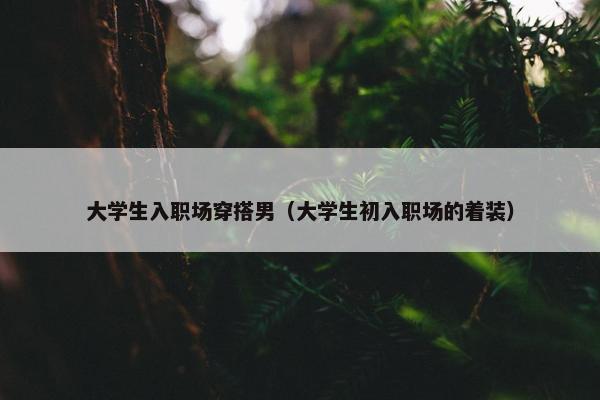 大学生入职场穿搭男（大学生初入职场的着装）