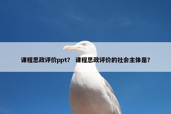 课程思政评价ppt？ 课程思政评价的社会主体是？