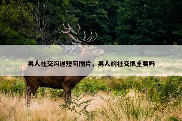 男人社交沟通短句图片，男人的社交很重要吗