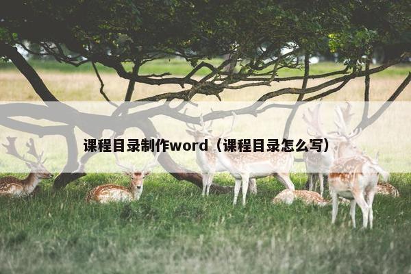 课程目录制作word（课程目录怎么写）