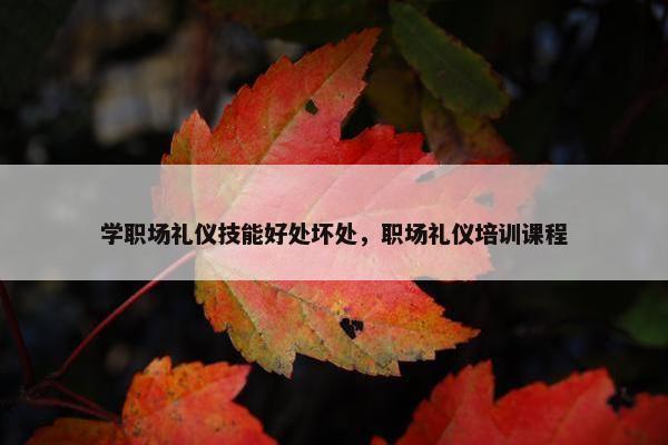 学职场礼仪技能好处坏处，职场礼仪培训课程