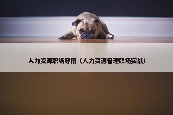 人力资源职场穿搭（人力资源管理职场实战）