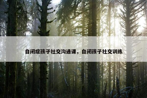自闭症孩子社交沟通课，自闭孩子社交训练