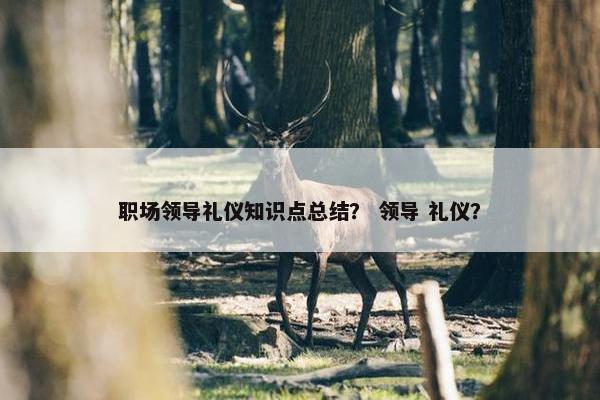 职场领导礼仪知识点总结？ 领导 礼仪？