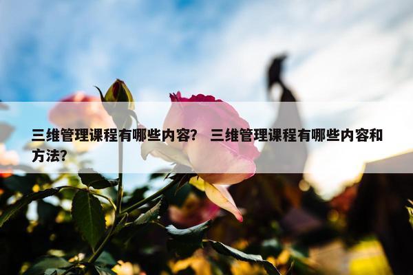三维管理课程有哪些内容？ 三维管理课程有哪些内容和方法？