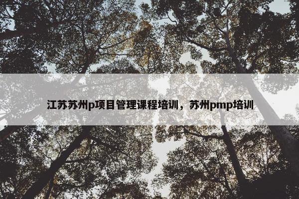 江苏苏州p项目管理课程培训，苏州pmp培训