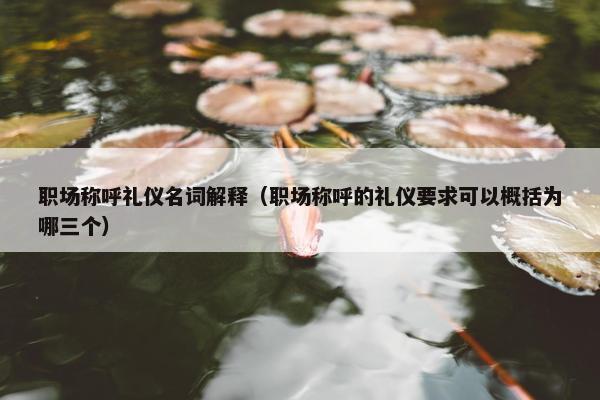职场称呼礼仪名词解释（职场称呼的礼仪要求可以概括为哪三个）