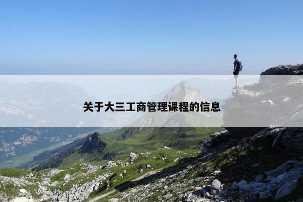 关于大三工商管理课程的信息