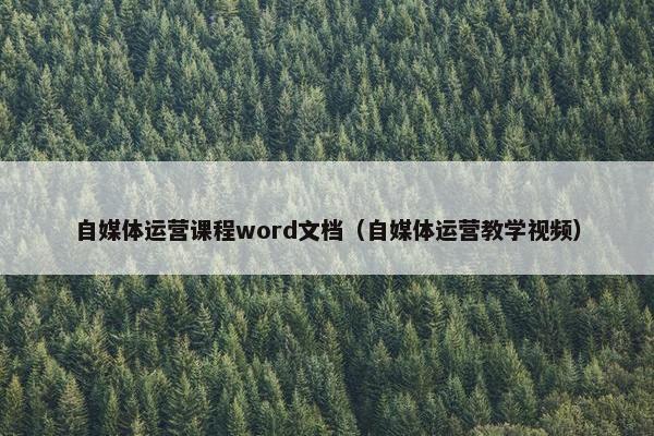 自媒体运营课程word文档（自媒体运营教学视频）