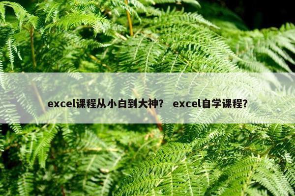 excel课程从小白到大神？ excel自学课程？