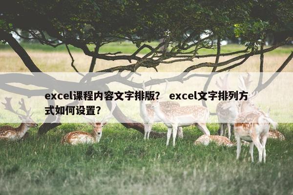 excel课程内容文字排版？ excel文字排列方式如何设置？