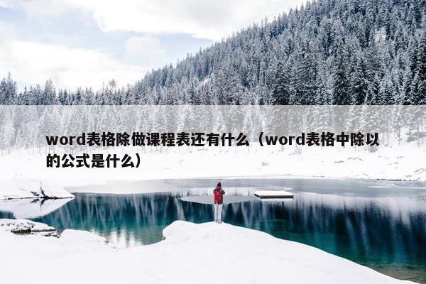 word表格除做课程表还有什么（word表格中除以的公式是什么）