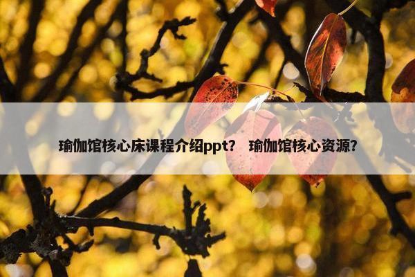 瑜伽馆核心床课程介绍ppt？ 瑜伽馆核心资源？