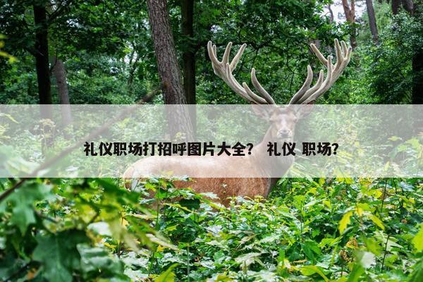 礼仪职场打招呼图片大全？ 礼仪 职场？