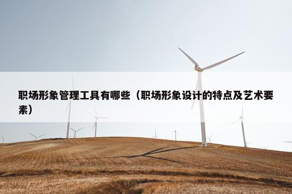 职场形象管理工具有哪些（职场形象设计的特点及艺术要素）