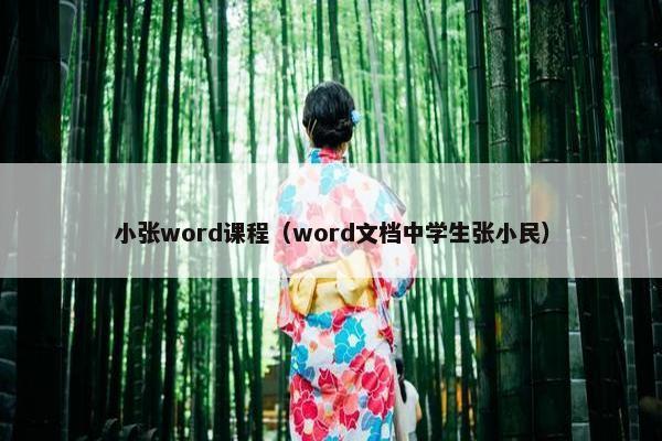 小张word课程（word文档中学生张小民）