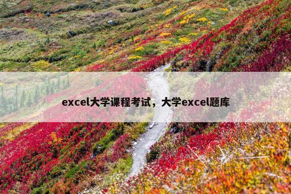 excel大学课程考试，大学excel题库