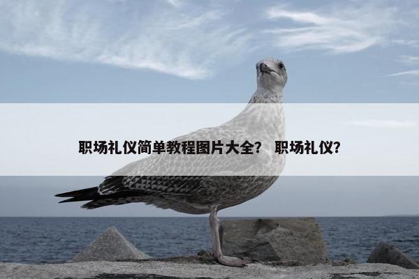 职场礼仪简单教程图片大全？ 职场礼仪？