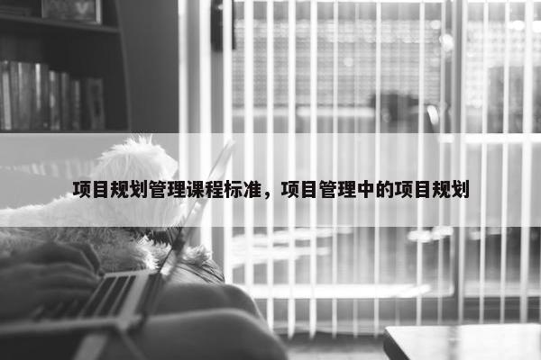 项目规划管理课程标准，项目管理中的项目规划