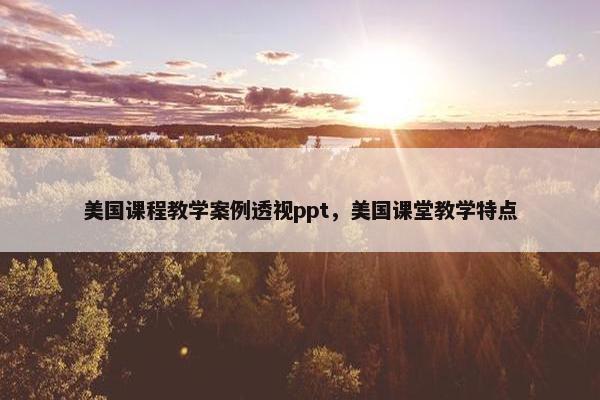 美国课程教学案例透视ppt，美国课堂教学特点