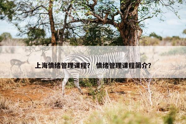 上海情绪管理课程？ 情绪管理课程简介？