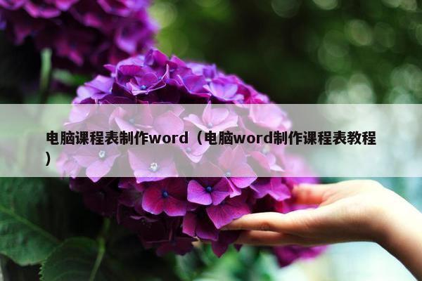 电脑课程表制作word（电脑word制作课程表教程）