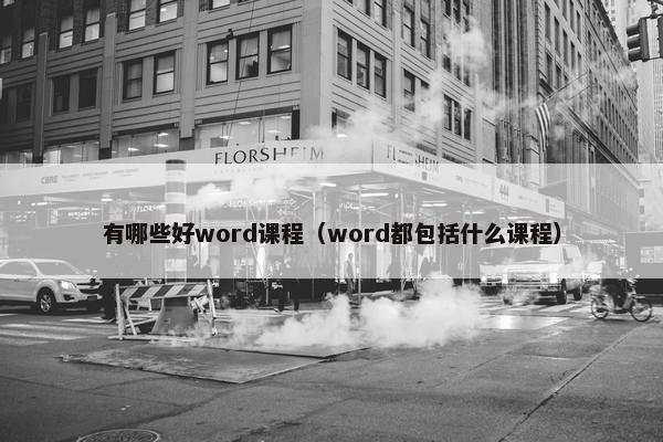 有哪些好word课程（word都包括什么课程）
