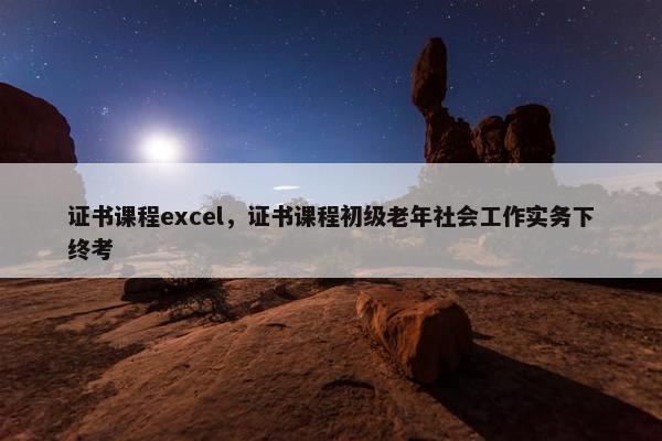 证书课程excel，证书课程初级老年社会工作实务下终考