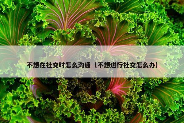 不想在社交时怎么沟通（不想进行社交怎么办）