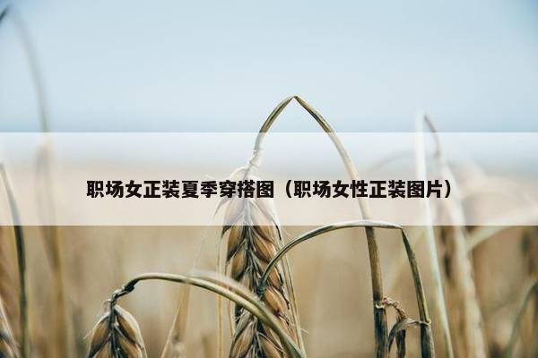 职场女正装夏季穿搭图（职场女性正装图片）