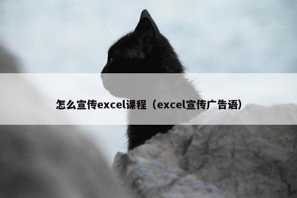 怎么宣传excel课程（excel宣传广告语）