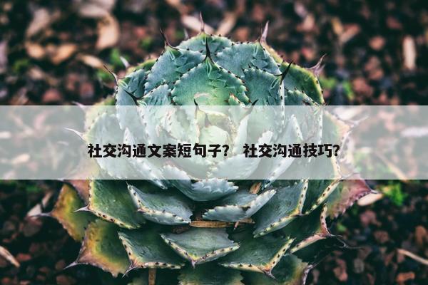 社交沟通文案短句子？ 社交沟通技巧？