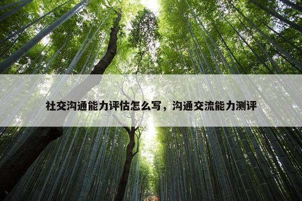 社交沟通能力评估怎么写，沟通交流能力测评