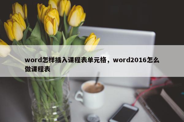 word怎样插入课程表单元格，word2016怎么做课程表