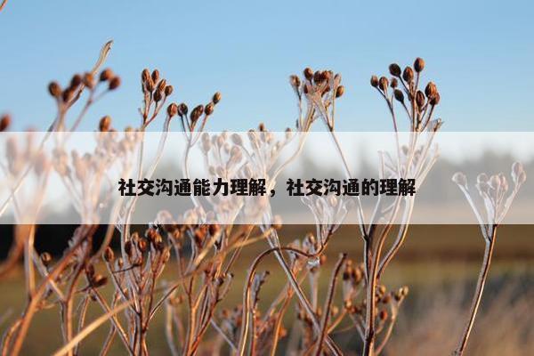 社交沟通能力理解，社交沟通的理解