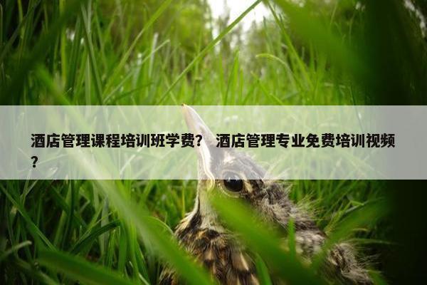 酒店管理课程培训班学费？ 酒店管理专业免费培训视频？