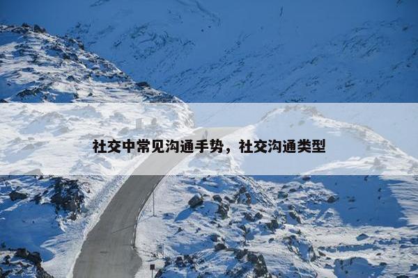 社交中常见沟通手势，社交沟通类型
