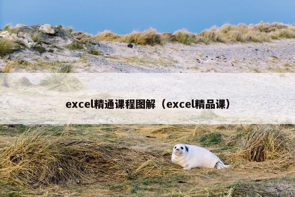 excel精通课程图解（excel精品课）