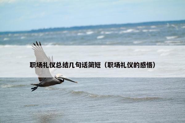 职场礼仪总结几句话简短（职场礼仪的感悟）