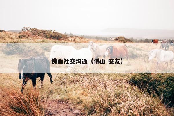 佛山社交沟通（佛山 交友）