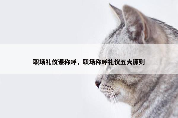 职场礼仪课称呼，职场称呼礼仪五大原则