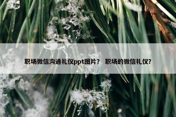 职场微信沟通礼仪ppt图片？ 职场的微信礼仪？